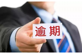 盐津融资清欠服务