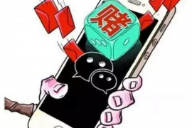 盐津工资清欠服务